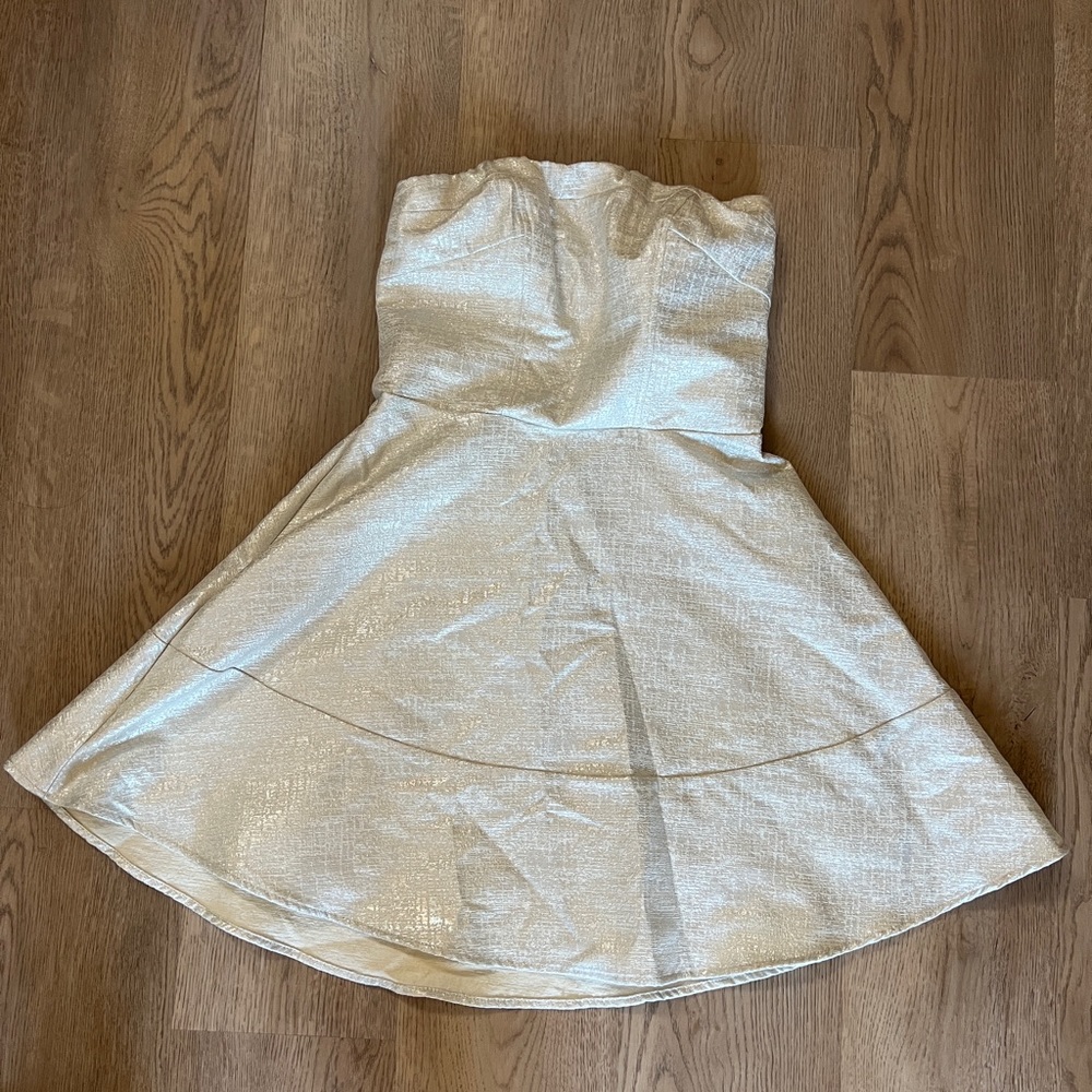 Express silver metallic dress- size 6